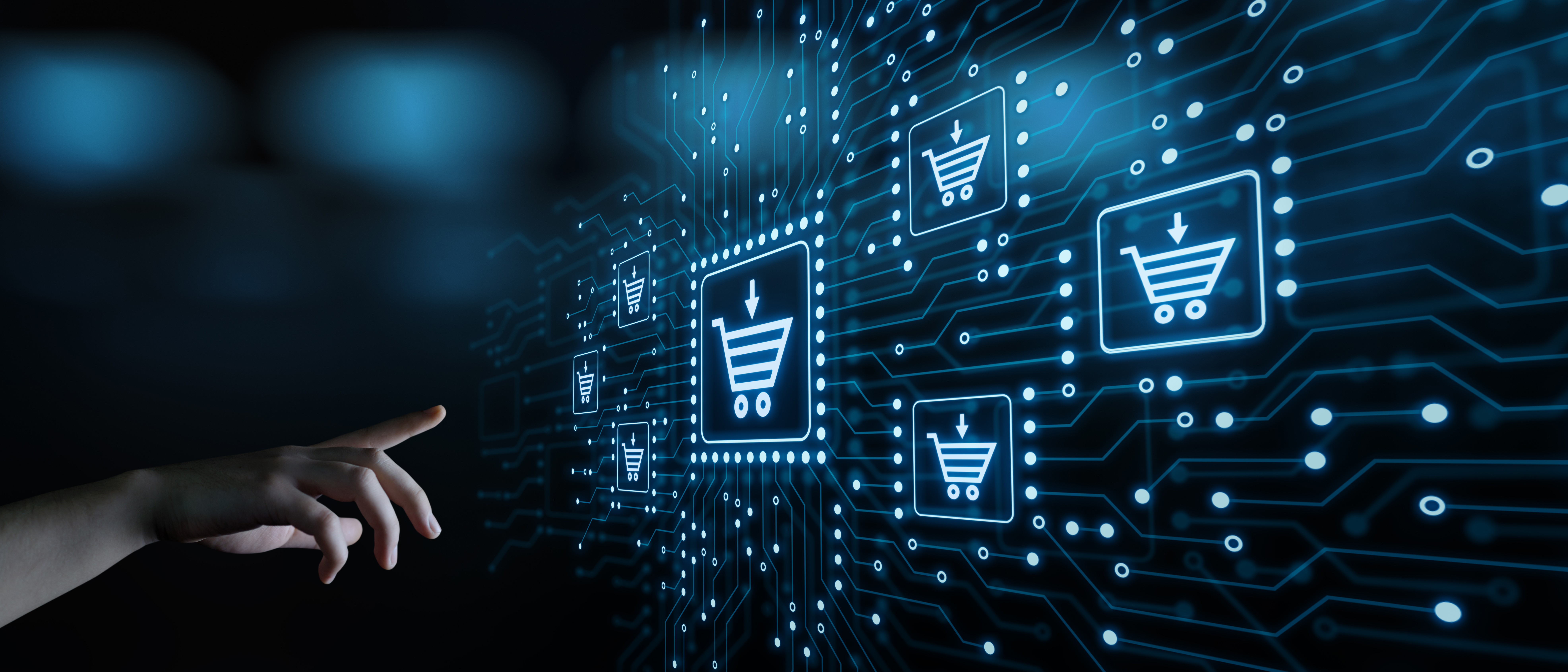 Hier wird ein Elektronischer Handel abgebildet, in den Warenkorb legen beim Online-Shopping