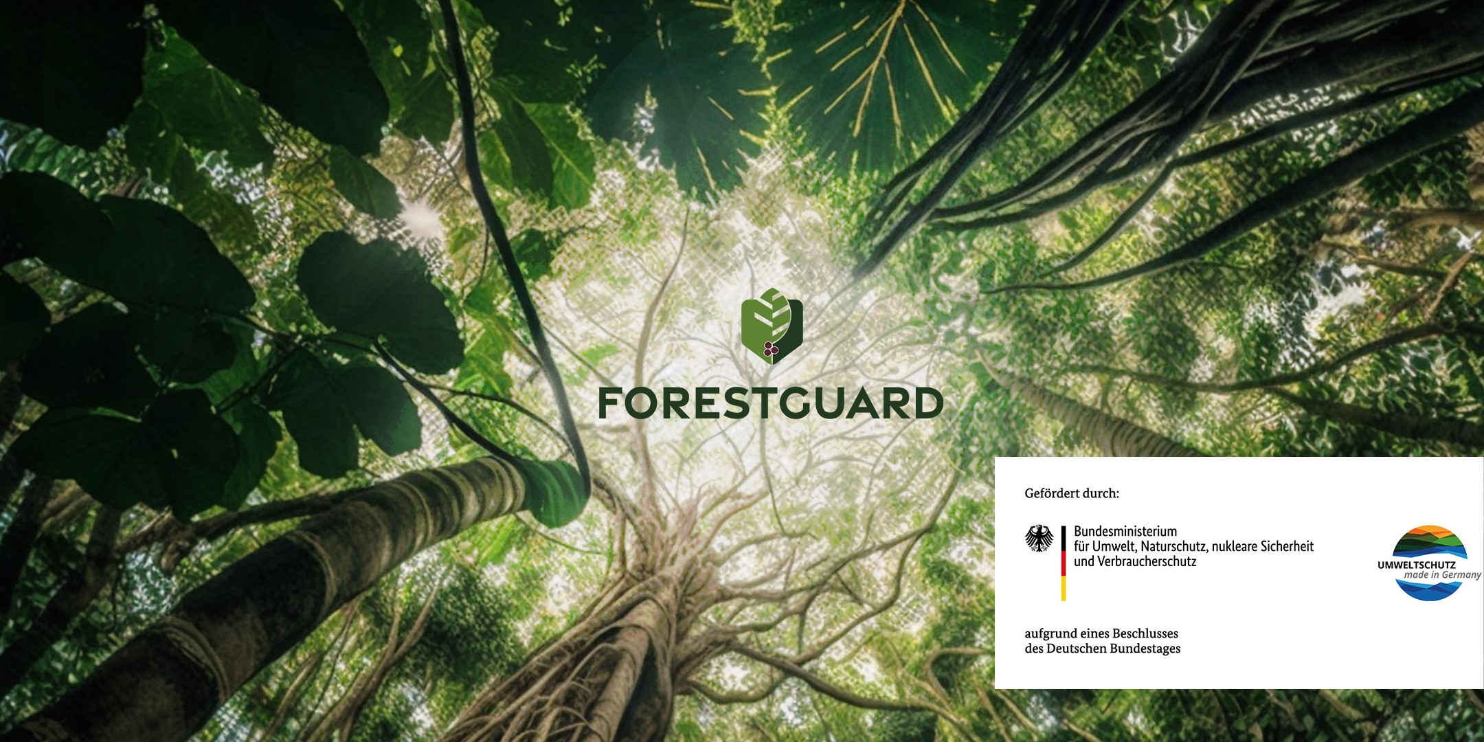 Das Logo von ForestGuard umgeben vom Wald