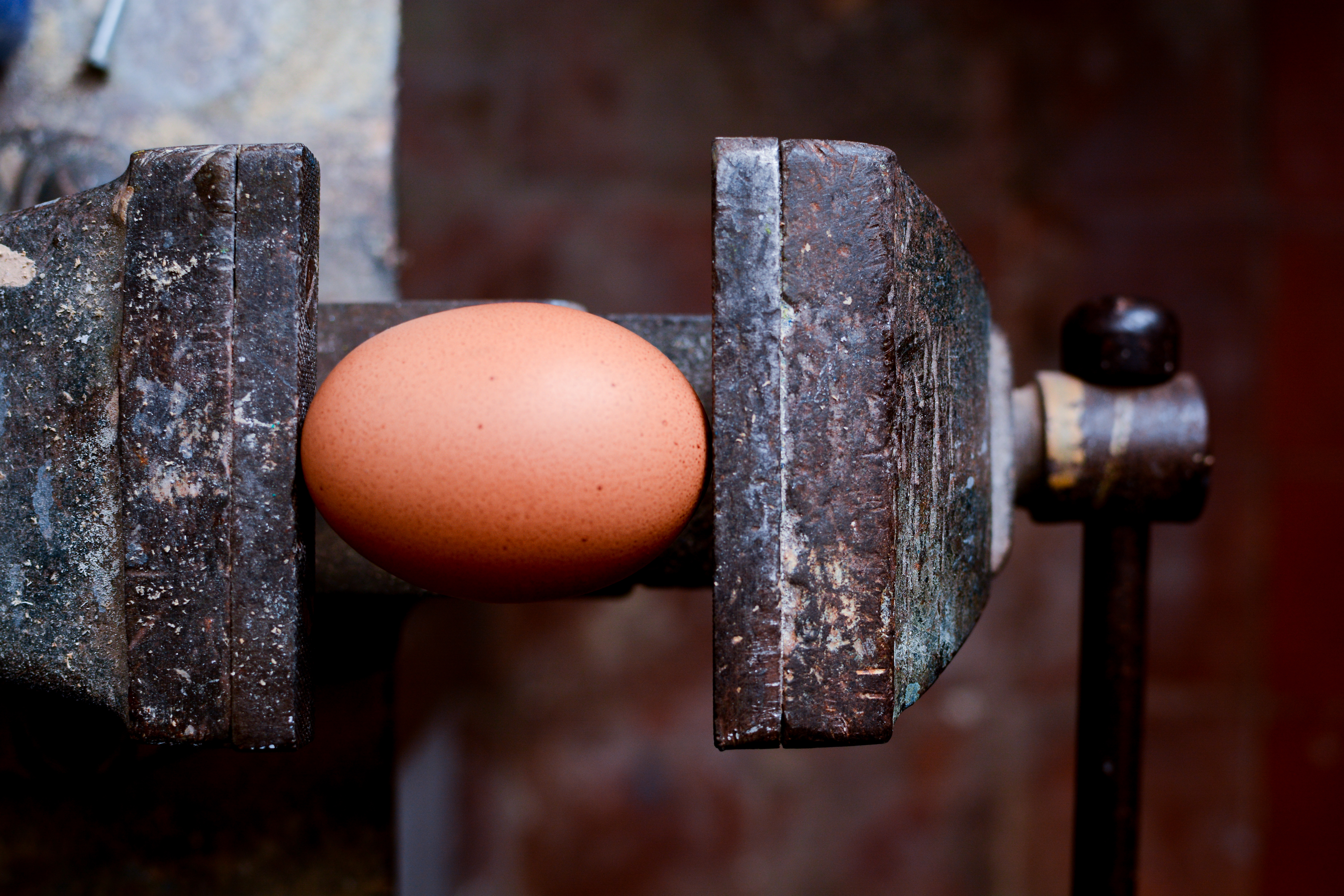 Ein Ei, das vorsichtig in einem Schraubstock eingespannt ist, symbolisiert die Hartnäckigkeit und gleichzeitige Flexibilität, die für ein resilientes Supply Chain Management notwendig sind. Dieses Bild verdeutlicht, wie sensible Lieferketten durch robustes Risikomanagement und strategisches Widerstandsmanagement geschützt und stabil gehalten werden können.
