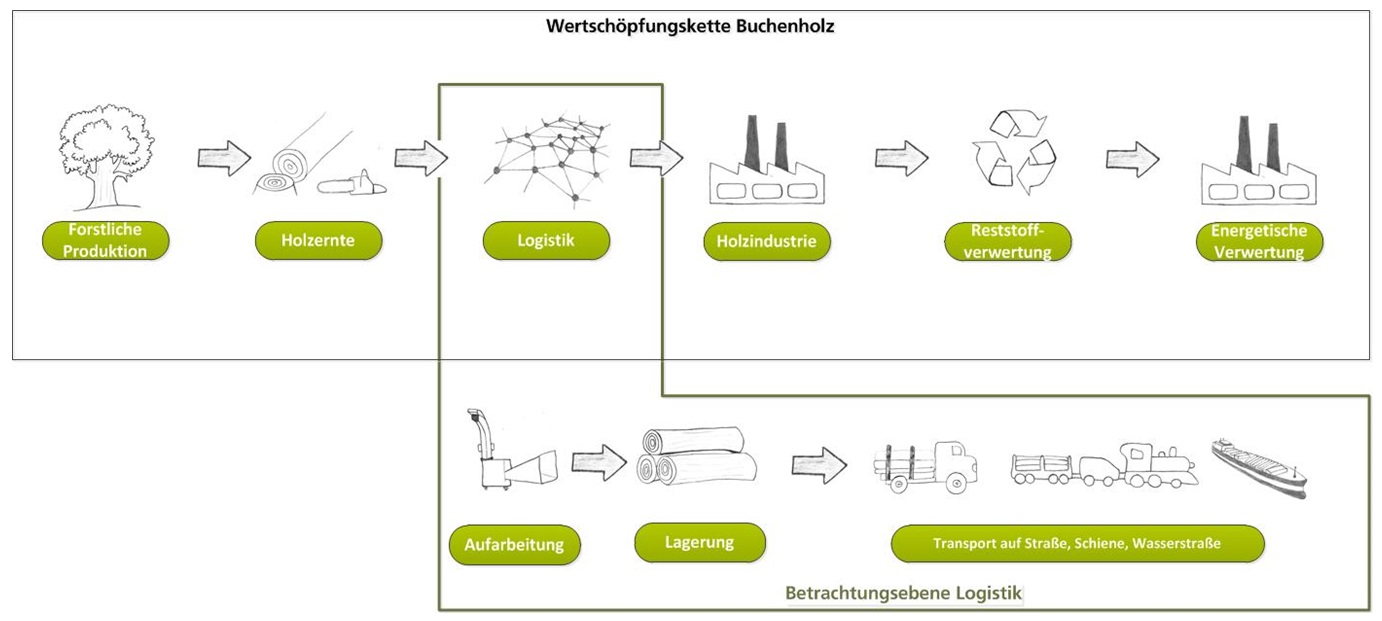 Einordnung der Holzlogistik und deren Bestandteile in die Wertschöpfungskette Buchenholz.