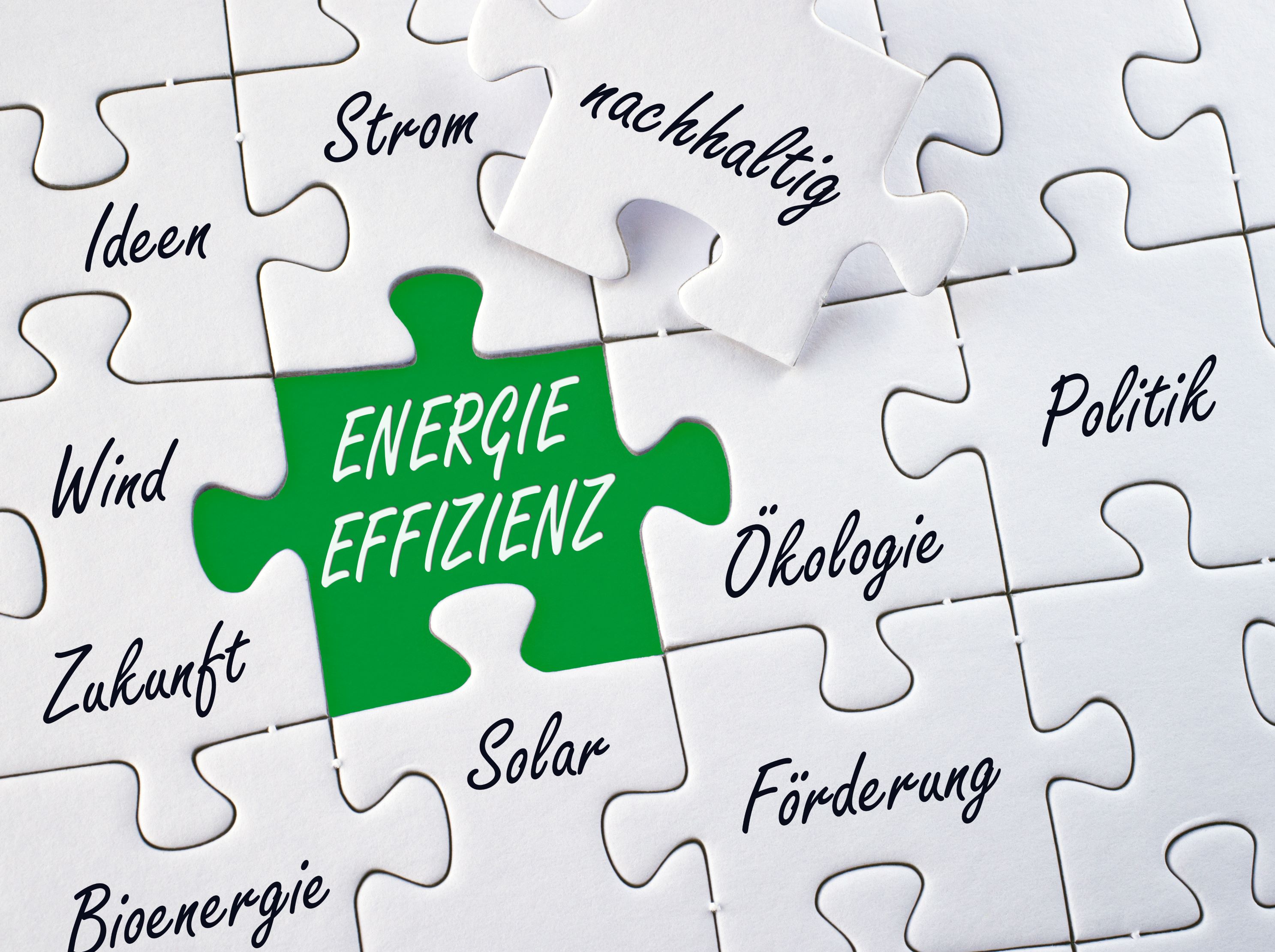 Das Bild zeigt ein Puzzleausschnitt mit verschiedenen Begriffen auf den Puzzleteilen. Grün hervorgehoben ist  das Puzzlestück Energieeffizienz. Es ist umgeben von  Ökologie, Förderung, Nachhaltigkeit, Strom, Ideen Solar, Bioenergie, Wind Politik und Zukunft.