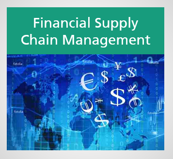 Financial Supply Chain Management