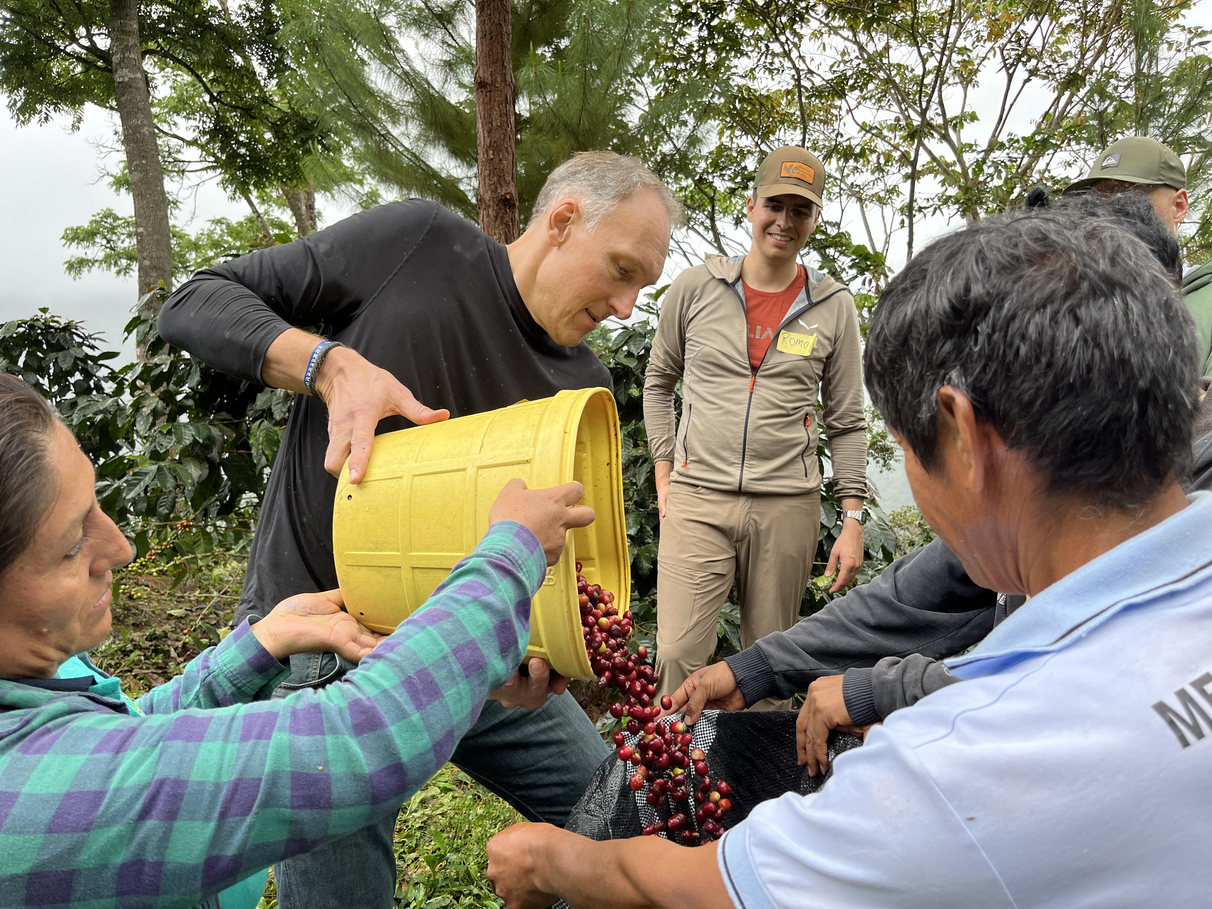 Ein Mann kippt geerntete Kaffeebeeren in einen Sack.