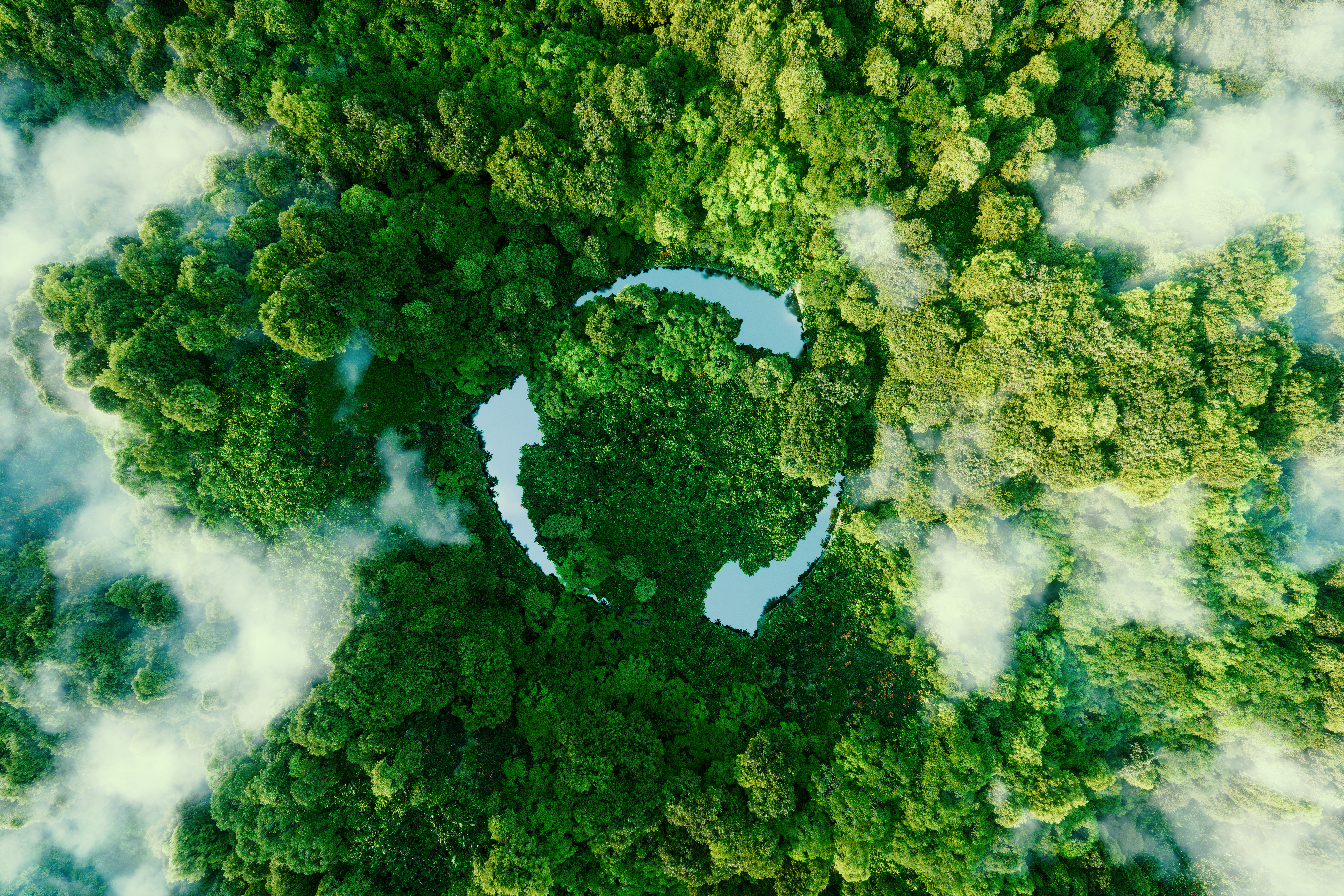 Das Bild zeigt das kreisförmige Nachhaltigkeitszeichen umgeben von einem dichtem Wald