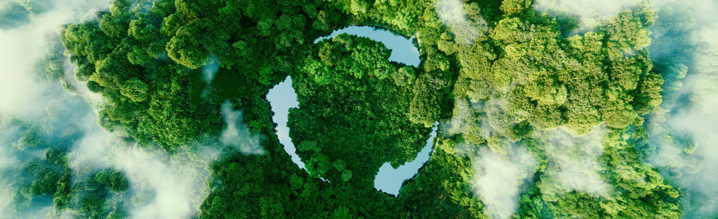 Das Bild zeigt das kreisförmige Nachhaltigkeitszeichen, das von einem dichten Wald umgeben ist – ein Symbol für den verantwortungsvollen Umgang mit Ressourcen und zukunftsweisende Entwicklungen. Es verdeutlicht, wie Innovationsmanagement nachhaltige Lösungen fördert und neue Wege für eine umweltbewusste Wirtschaft eröffnet. Gleichzeitig spiegelt es die Bedeutung eines durchdachten Transformationsmanagements wider, um ökologische und wirtschaftliche Ziele in Einklang zu bringen.