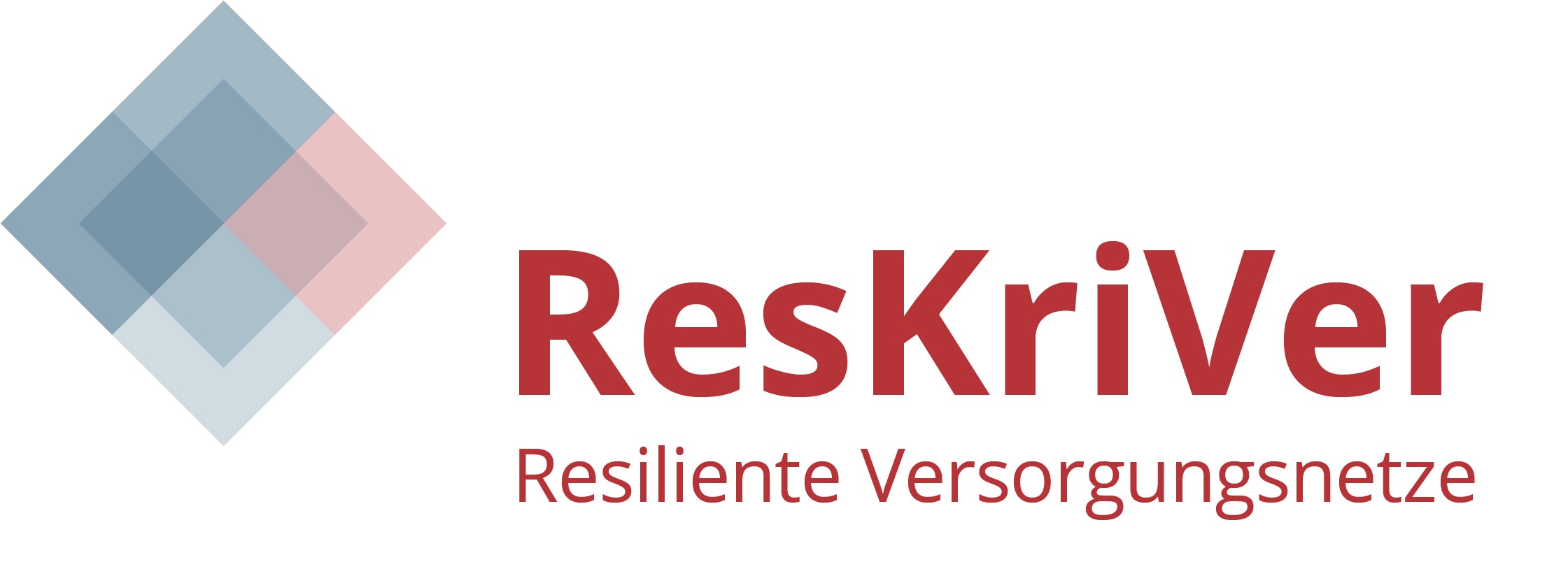 Logo Research Projekt ResKriVer