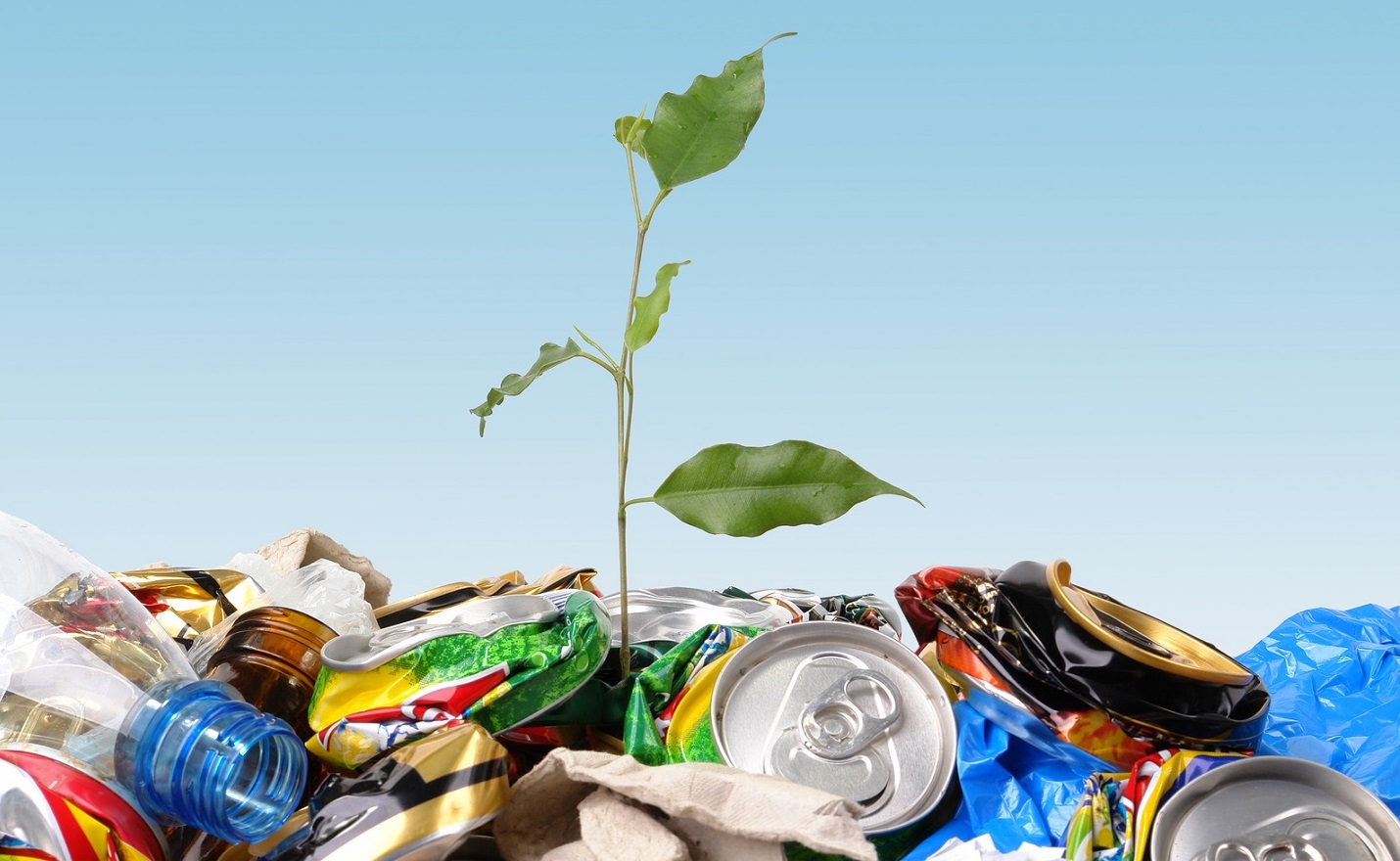 The image shows a small plant emerging from a pile of waste, symbolizing urban mining. This highlights the integration of a circular economy into supply chains, emphasizing sustainability and resource recovery.