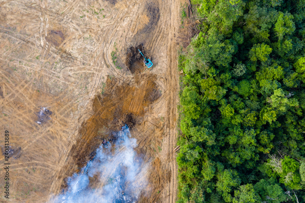 A top view on the deforestation of the rainforest